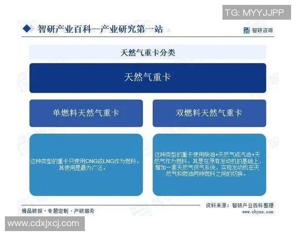 专业分析：液化天然气行业的快速攻势与市场机遇探讨