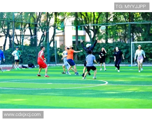 广州飞盘队的转型之路与飞盘运动的未来发展探讨