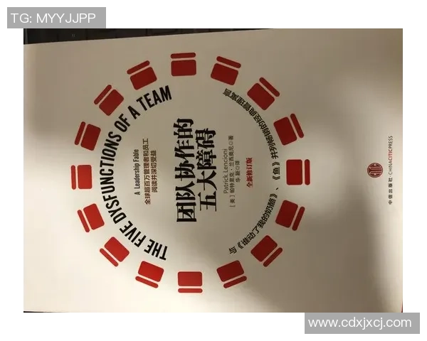 武汉攀岩队团队协作模式深度解析与其他队伍的比较研究