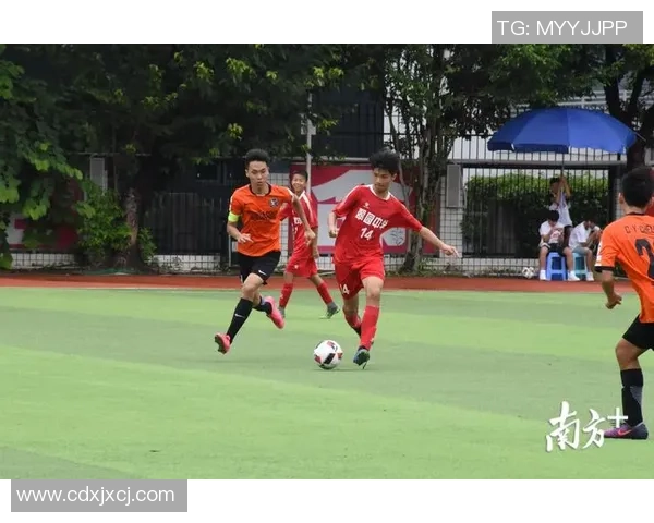 足球夏陌：在绿茵场上追逐梦想与激情的青春故事