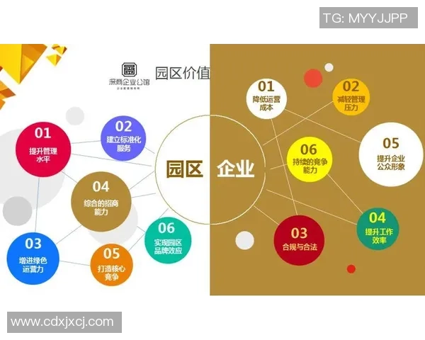 王者荣耀战术解析：IG战队独特运营体系的成功之道与策略探讨