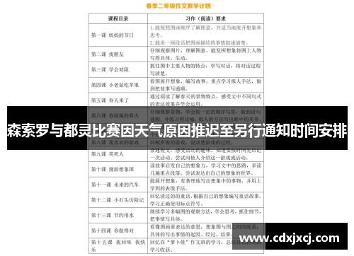森索罗与都灵比赛因天气原因推迟至另行通知时间安排