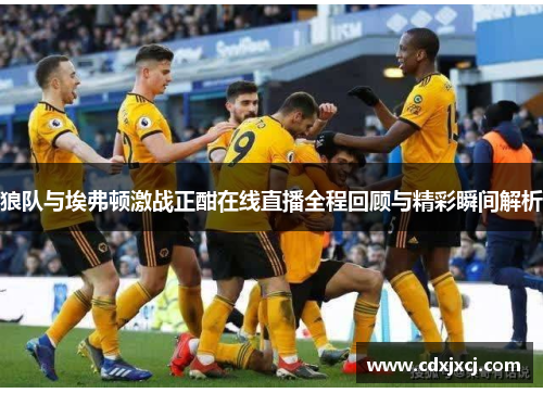 狼队与埃弗顿激战正酣在线直播全程回顾与精彩瞬间解析